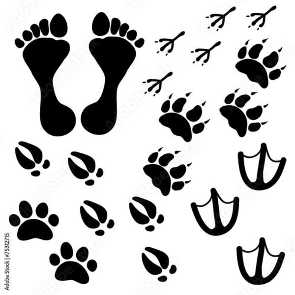Obraz People and pets footsteps