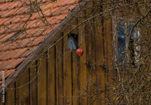 Obraz chata z jabłkiem