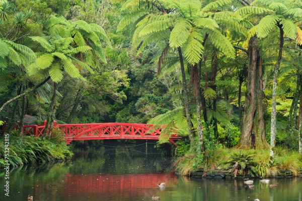 Obraz rote Brücke im Pukekura Park, Baumfarne, New Plymouth, Taranaki, Nordinsel, Neuseeland, Ozeanien
