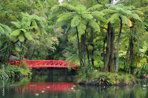 Obraz rote Brücke im Pukekura Park, Baumfarne, New Plymouth, Taranaki, Nordinsel, Neuseeland, Ozeanien