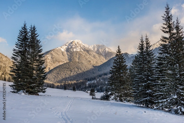 Fototapeta Dolina Chochołowska - Tatry