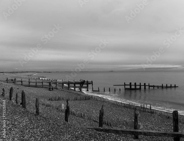 Fototapeta Timber and Tide.