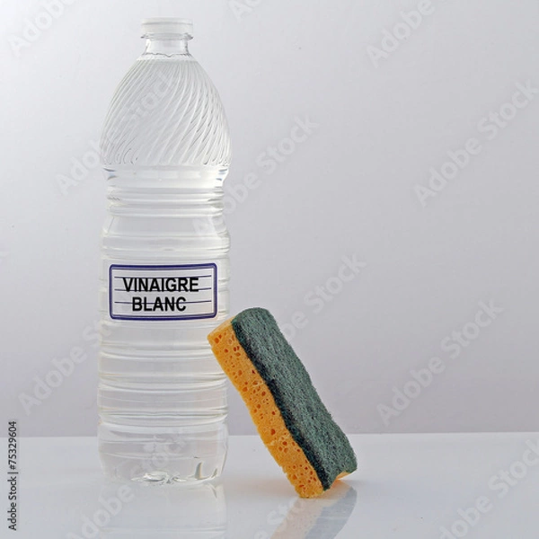 Obraz Nettoyant écologique