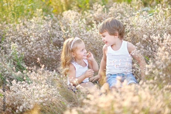 Fototapeta Portrait of a boy and girl on the field in summer