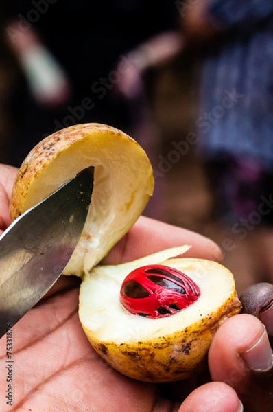 Fototapeta Nutmeg Fruit Cut Open