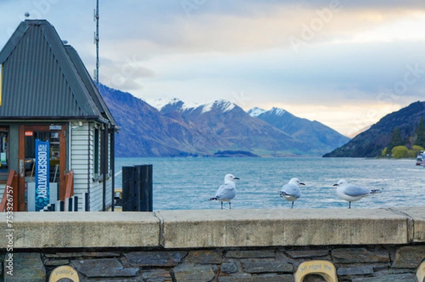 Fototapeta 港の近くで休憩をするカモメ