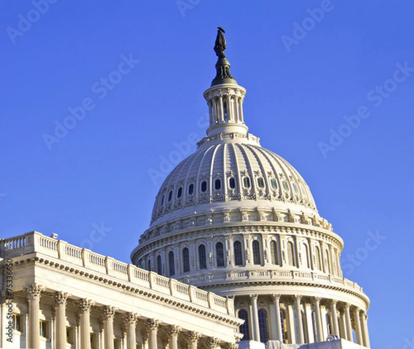 Obraz Washington, DC. Capitol