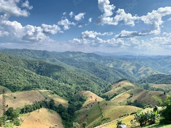 Fototapeta Doi Mae Ukho, a place to visit in Mae Hong Son this winter Bua Tong Field