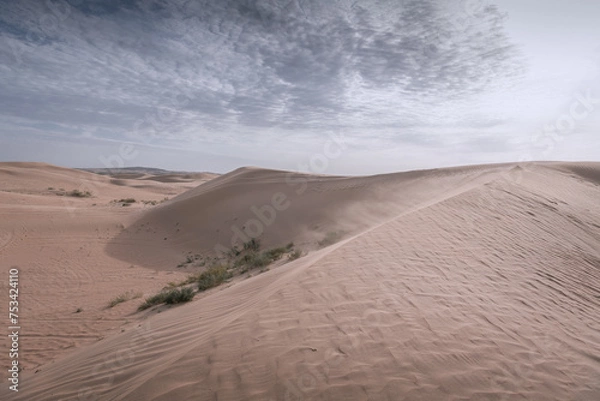 Fototapeta Tengger desert scenery, Inner Mongolia, China.