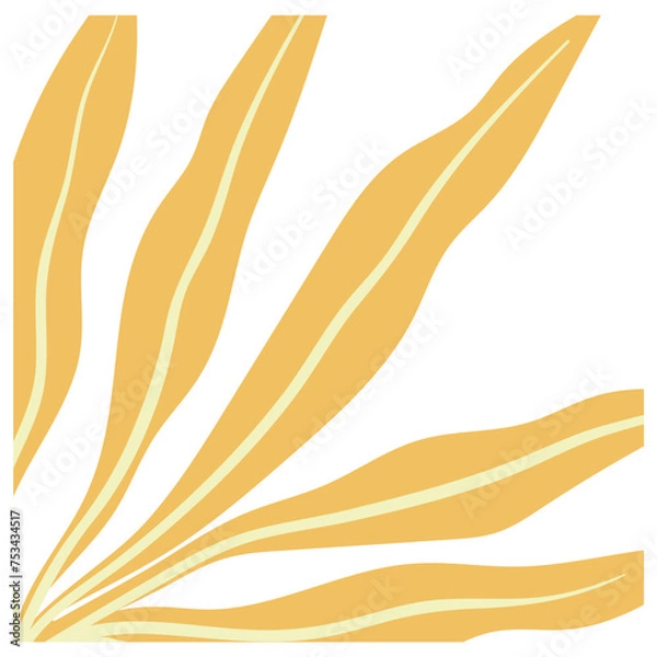 Fototapeta Abstract Groovy Flower