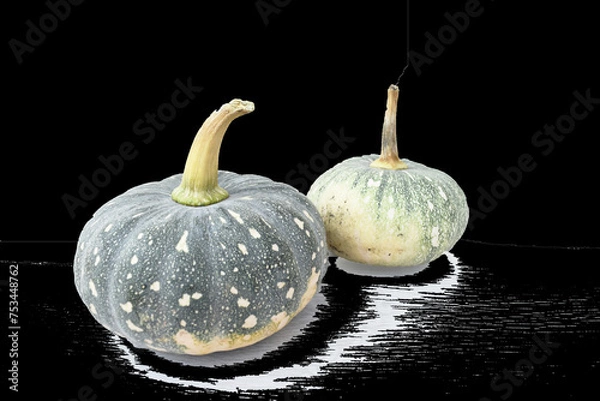 Fototapeta pumpkin on black background