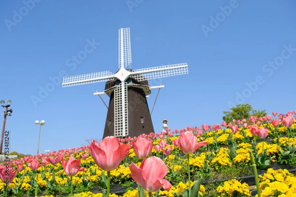 Obraz チューリップ畑の鶴見緑地