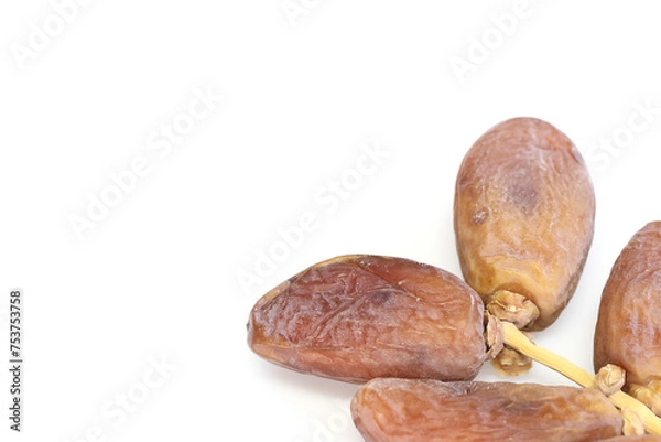 Obraz Date Palm