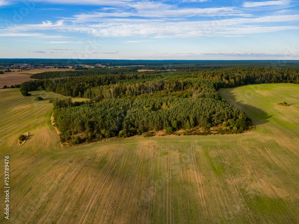 Fototapeta Las widok z góry