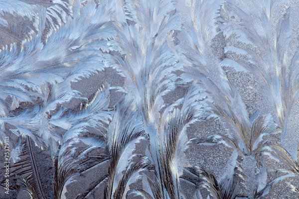 Obraz Frost on the window