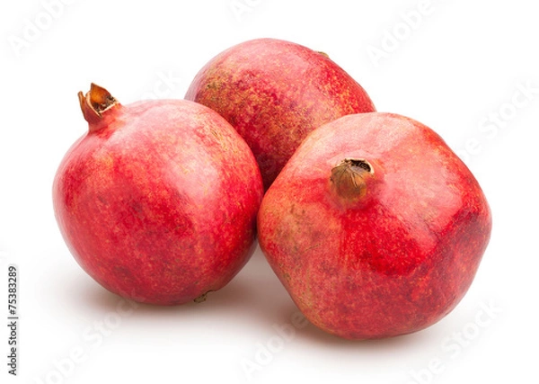 Obraz pomegranate