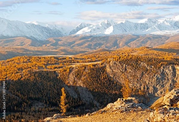 Fototapeta Picturesque view of the Kurai steppe and the snow-covered North Chui ridge in the early morning, Altai, Russia