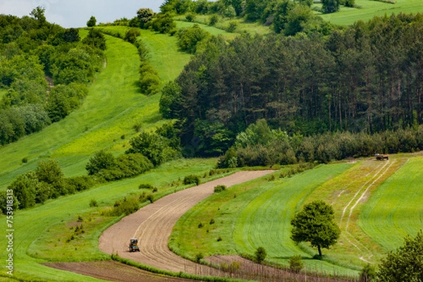 Obraz Spring farmland in the hills. Roztocze. Poland. Field work in herbal fields.