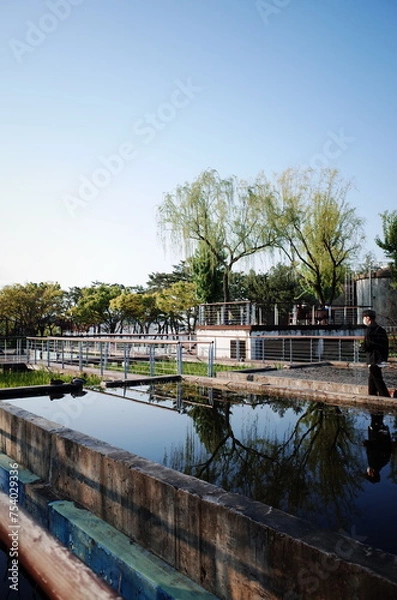 Fototapeta Korean style park, Seoul garden, Seoul spring Han River