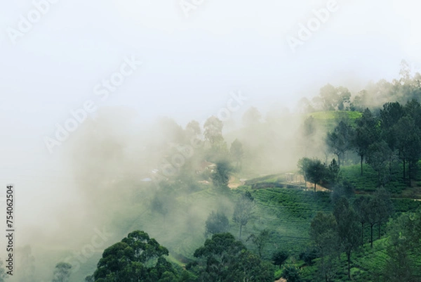 Obraz Mystic adventures. Hill country of island nation Sri Lanka