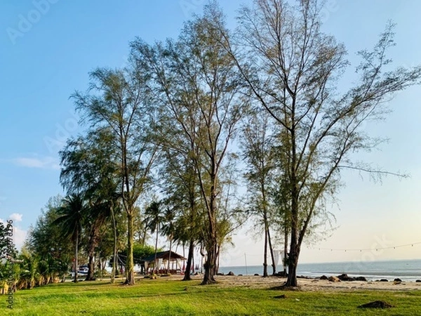 Fototapeta Lansai beach Laem klat
Lan Sai Beach is a beach that looks like a headland extending into the sea. There are fine white sand grains. which is considered the highlight of this sandy beach The atmospher