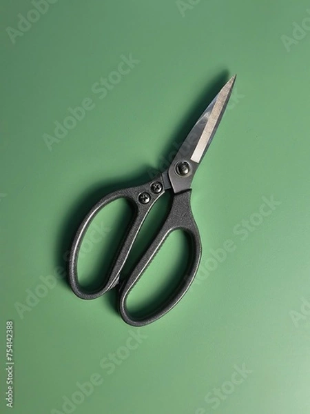 Fototapeta scissors on a green background