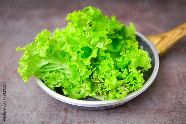 Fototapeta fresh green lettuce salad leaves 