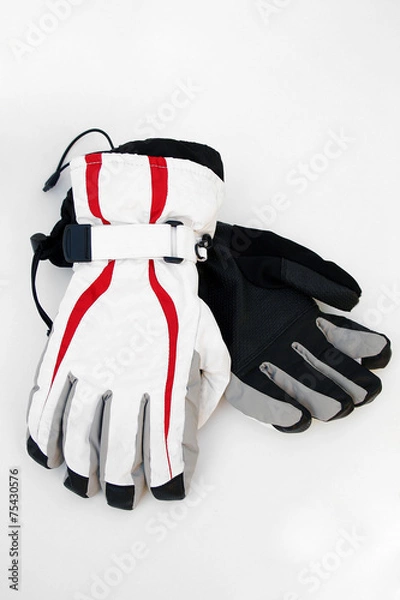 Obraz Ski gloves