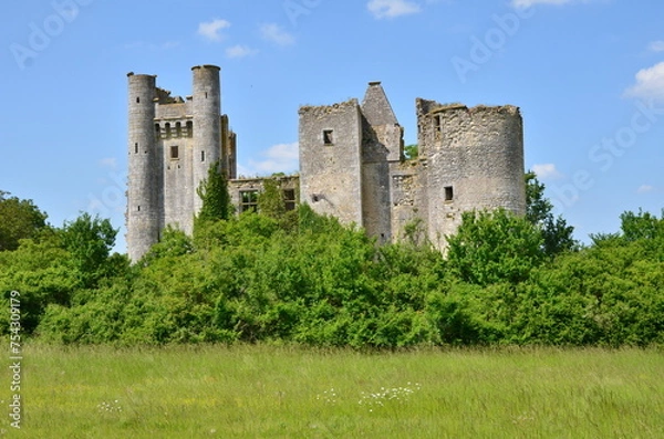 Obraz RUINES DU CHÂTEAU FÉODAL DE PASSY LES TOURS XIV éme SIÈCLE