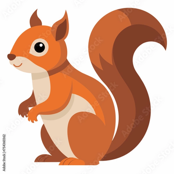 Obraz squirrel pet vector illustration draw cartoon pretty
cute