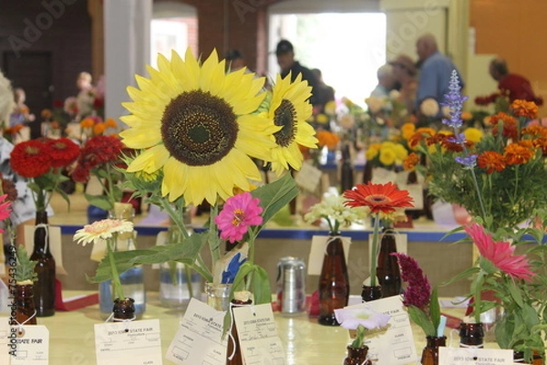 Fototapeta Flower contest
