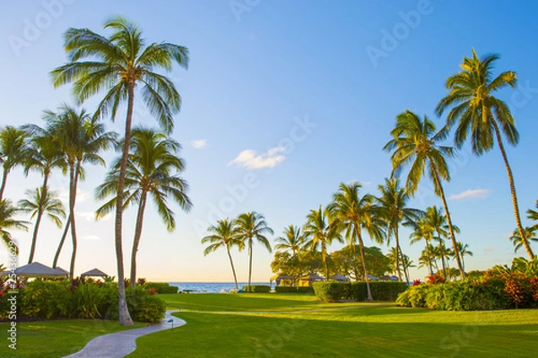 Obraz hawaian beach at sunset time