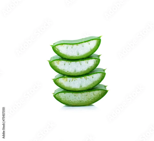 Fototapeta aloe vera leaf isolated white background