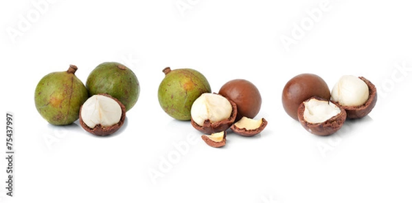 Obraz macadamia nuts on white background