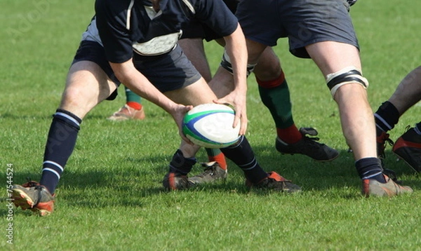 Obraz rugby