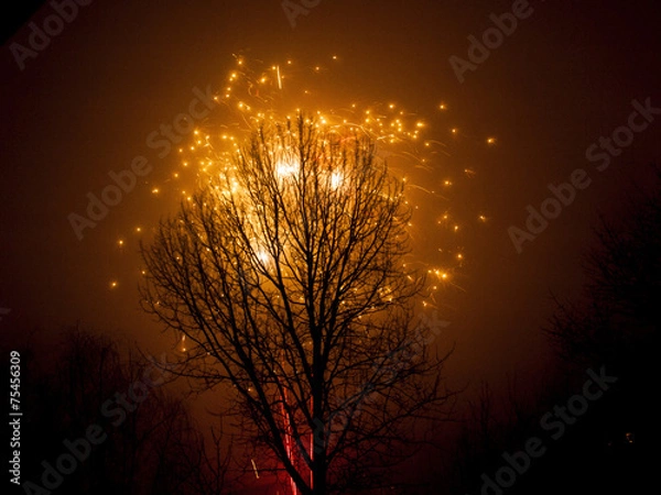 Obraz Tree and Firework in the Night