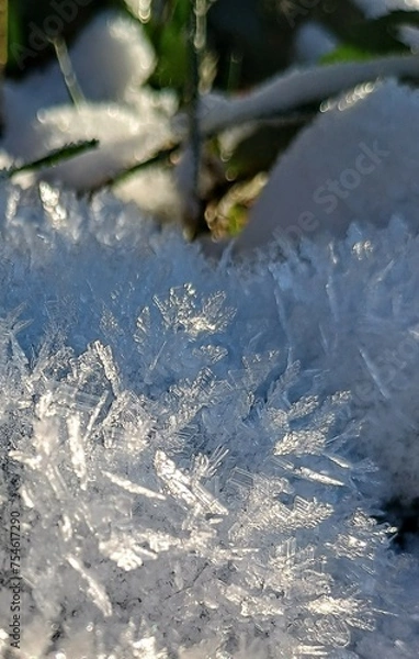 Obraz winter snow frost