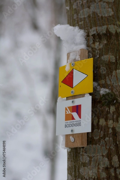 Fototapeta Wanderweg