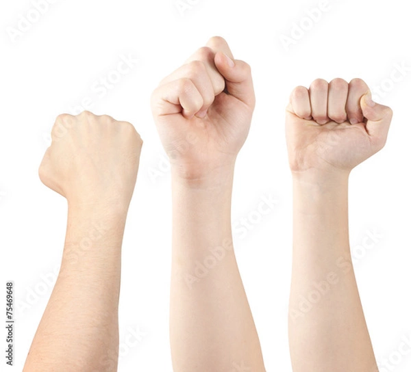 Obraz Three hands demonstrating fists, isolated, clipping path