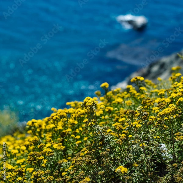 Obraz yellow flowers on blue background