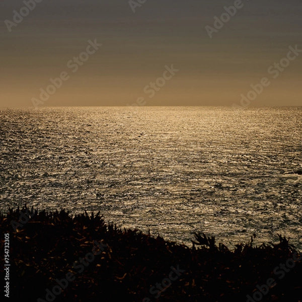 Obraz sunset on the beach