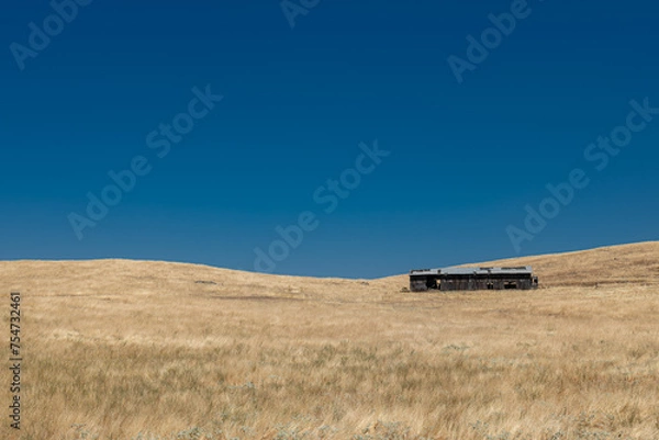 Obraz meadow and blue sky. USA
