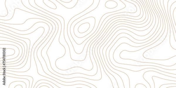 Obraz Topographic map background geographic line map pattern .panorama view light brown color wave curve lines .geographic mountain relief abstract grid .the concept map of a conditional geography map .