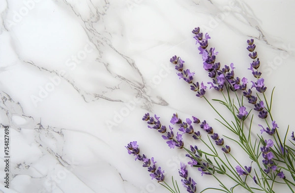 Obraz Lavender Flowers on Marble Background