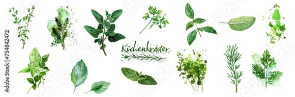 Obraz Culinary herbs - iconset of herbs and plants for cooking and seasoning dishes. Arugula, dill, basil, coriander and rosemary. Vectors for menu card, cooking classes or packaging design.