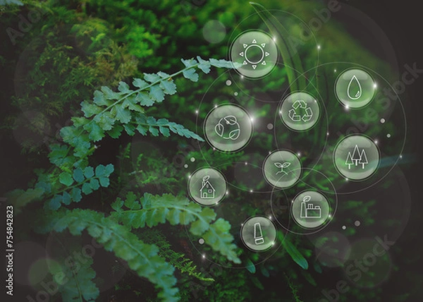 Obraz シダや苔の生えた石の上に浮かぶアイコン：エコロジー、環境保護、森林保護、グリーンエネルギー