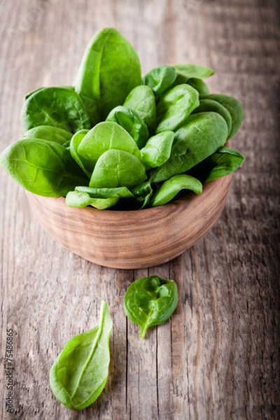 Obraz Spinach