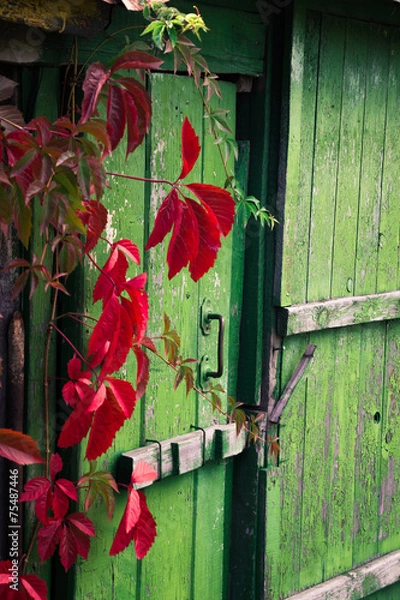 Obraz Old wooden door