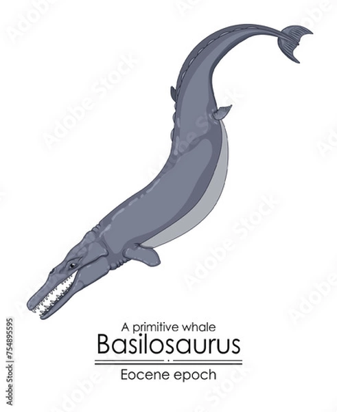 Fototapeta A primitive whale Basilosaurus from Eocene epoch.