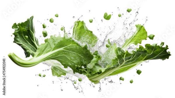 Fototapeta Rapini sliced pieces flying in the air with water splash isolated on transparent png.
